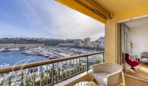 Arrendar Apartamento Monaco