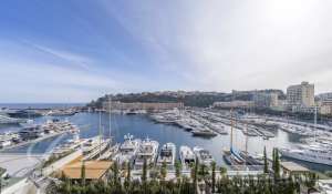 Arrendar Apartamento Monaco