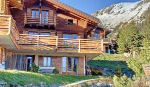 Arrendar Quinta/Herdade Verbier