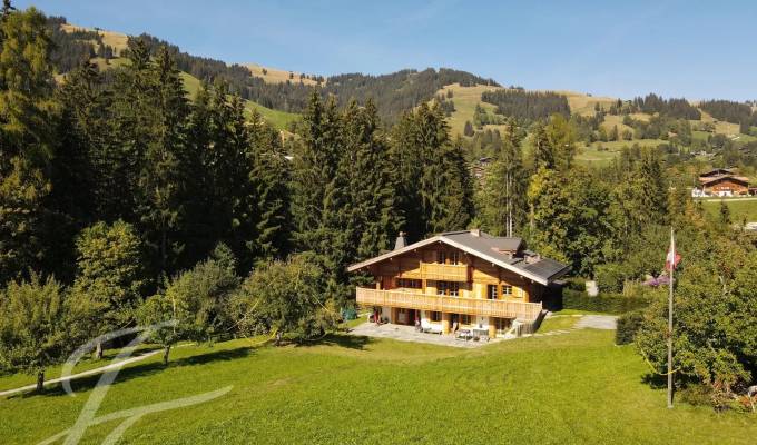 Arrendamento de curta duraçāo Quinta/Herdade Gstaad