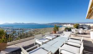 Venda Apartamento Cannes