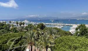 Venda Apartamento Cannes