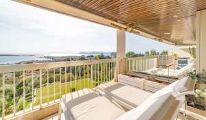 Venda Apartamento Cannes