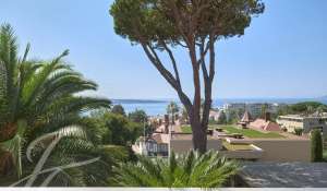 Venda Apartamento Cannes