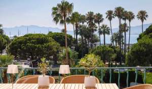 Venda Apartamento Cannes