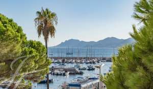 Venda Apartamento Cannes