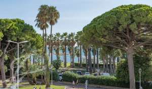 Venda Apartamento Cannes