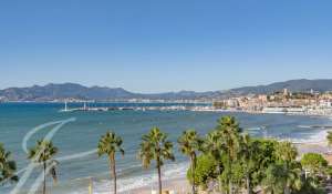 Venda Apartamento Cannes