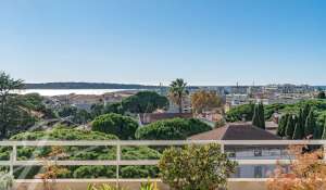 Venda Apartamento Cannes