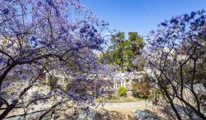 Venda Apartamento Palma de Mallorca