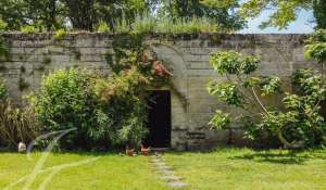 Venda Castelo Bordeaux