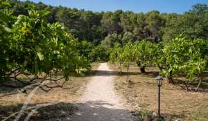 Venda Castelo Hyères