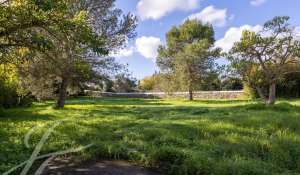 Venda Quinta/Herdade La Argentina