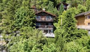 Venda Quinta/Herdade Verbier