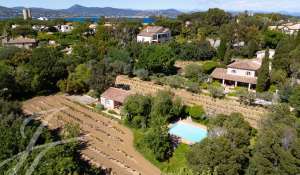 Venda Moradia Saint-Tropez