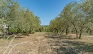 Venda Propriedade Châteauneuf-Grasse