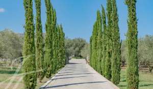 Venda Propriedade Châteauneuf-Grasse