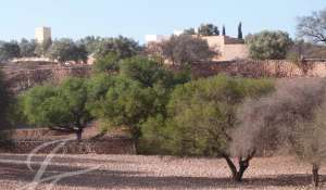 Venda Propriedade Essaouira