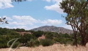 Venda Propriedade Essaouira