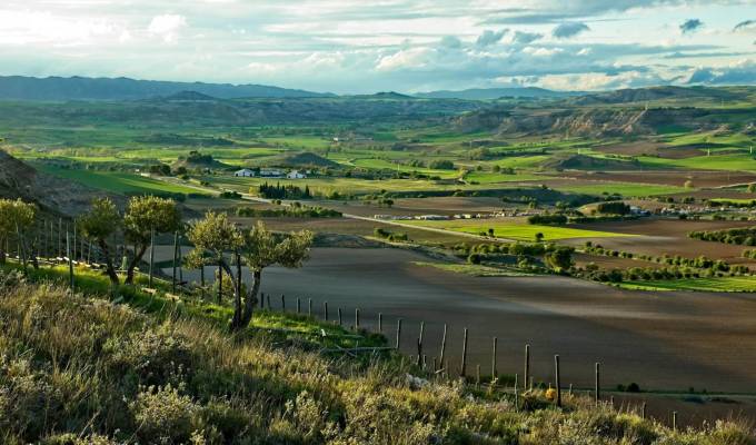 Venda Propriedade vinícola Cuenca