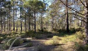 Venda Terreno Alcácer do Sal