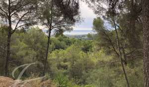 Venda Terreno construtível Palma de Mallorca