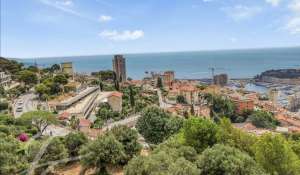 Venda Terreno construtível Roquebrune-Cap-Martin