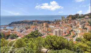 Venda Terreno construtível Roquebrune-Cap-Martin