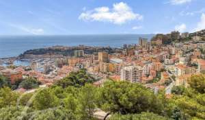 Venda Terreno construtível Roquebrune-Cap-Martin