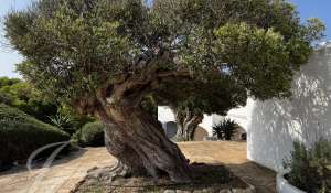 Venda Villa Ciutadella de Menorca